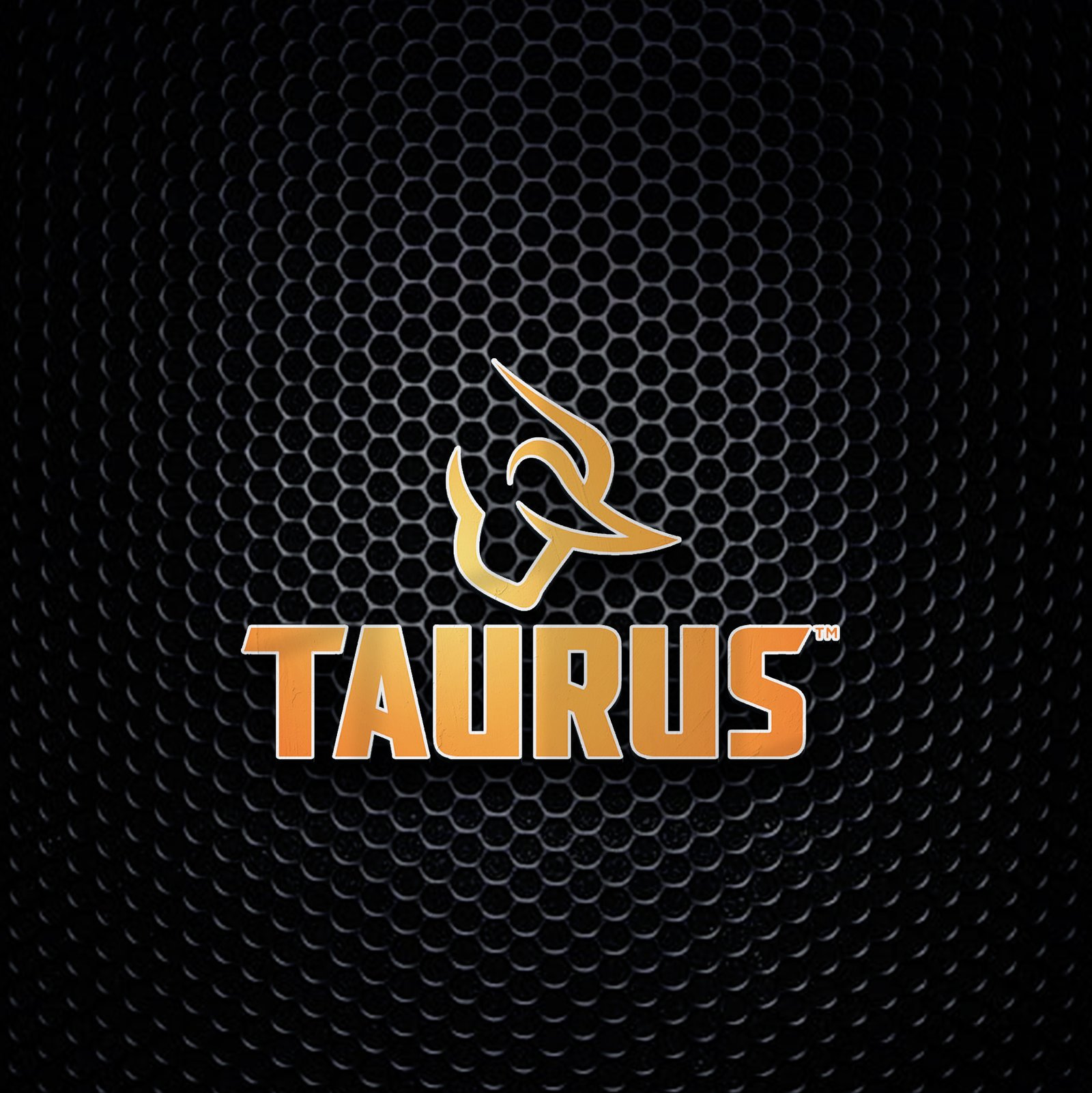 Taurus